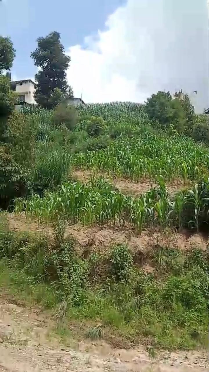 Land in Tokha Kathmandu