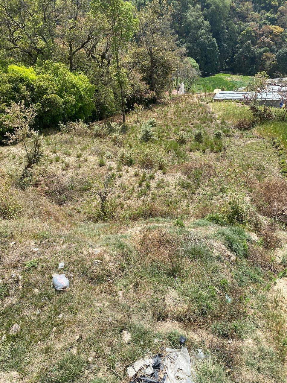 Land in Chitwan
